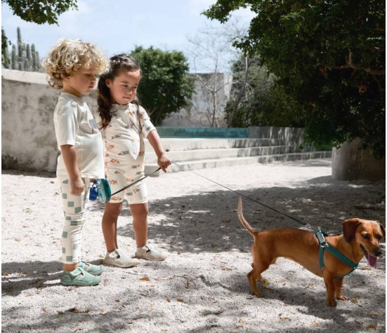 Combinaisons Manches Courtes Beach Chien 7-12 mois