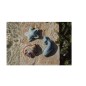 Ensemble De Plage 3Pcs-Ocean World Ensemble De Plage 3Pcs-Ocean World