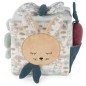 Cube D activite Lapin Serengueti Cube D activite Lapin Serengueti