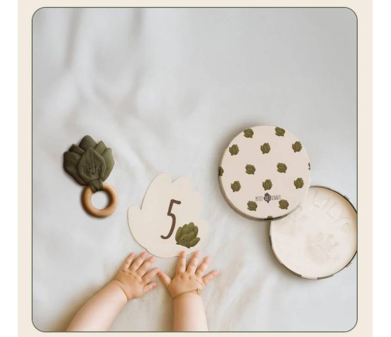 Coffret De Naissance-Petit Artichaut
