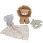 Coffret Cadeau Safari Friends