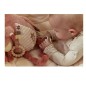 Peluche D activites Flamant Rose - Safari Friends Peluche D activites Flamant Rose - Safari Friends