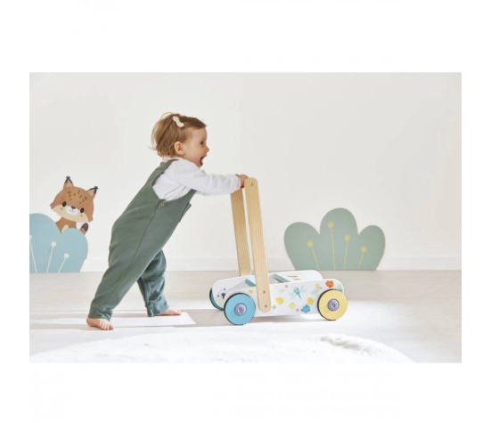 Chariot De Marche
