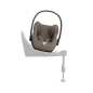 Cloud T Plus I-Size Coconut Brown Dark Cloud T Plus I-Size Coconut Brown Dark