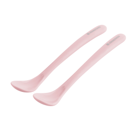 Lot de 2 Cuillères Brighty Rose