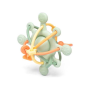 Etoile Sensorielle Verte Etoile Sensorielle Verte