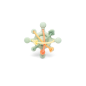 Etoile Sensorielle Verte Etoile Sensorielle Verte