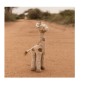 Peluche Girafe Safari Friends Peluche Girafe Safari Friends