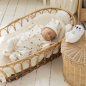 Kit de Naissance 6 pcs Ours Moka 1 Mois Kit de Naissance 6 pcs Ours Moka 1 Mois
