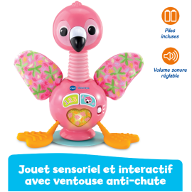 Flamingo Rigolo