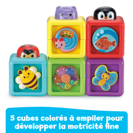 Cubes Animaux Surprises