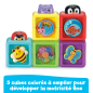 Cubes Animaux Surprises