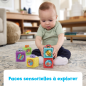 Cubes Animaux Surprises