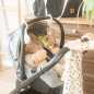 Jeu D activite Ours -Ours Bjorn Jeu D activite Ours -Ours Bjorn