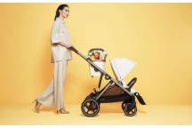 Gazelle S la réunion