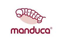 Manduca