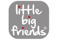Little Big Friends